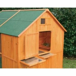 Poulailler et élevage de la basse-cour Soldes 2022 -Poulailler et élevage de la basse-cour Soldes 2022 10735311 2