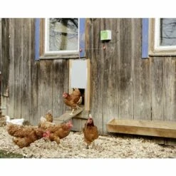 Automatisme Pour Porte De Poulailler - 24 X 16 X 11 Cm Kerbl -Poulailler et élevage de la basse-cour Soldes 2022 11194008 5