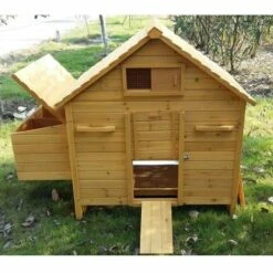 POULAILLER DIRECT Poulailler Bassette Xl 6 À 8 Poules Toit Bois -Poulailler et élevage de la basse-cour Soldes 2022 13510110 4