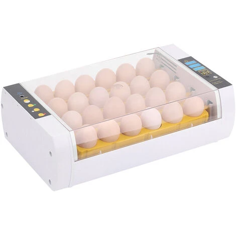 ASUPERMALL Incubateur Automatique Pour Oeufs, Ac220V, (Peut Regarder La Video) 1 ASUPERMALL Incubateur Automatique Pour Oeufs, Ac220V, (Peut Regarder La Video)