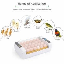 ASUPERMALL Incubateur Automatique Pour Oeufs, Ac220V, (Peut Regarder La Video) 8 ASUPERMALL Incubateur Automatique Pour Oeufs, Ac220V, (Peut Regarder La Video) -Poulailler et élevage de la basse-cour Soldes 2022 14635315 4