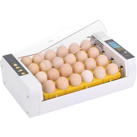 ASUPERMALL Incubateur Automatique Pour Oeufs, Ac220V, (Peut Regarder La Video) 5 ASUPERMALL Incubateur Automatique Pour Oeufs, Ac220V, (Peut Regarder La Video) – Image 5