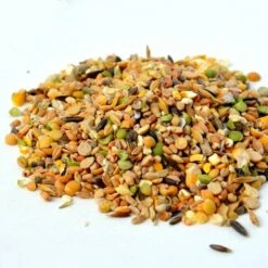 GASCO Repas Complet Spécial Ponte Pour Poules, Avec Distributeur Intégré -Poulailler et élevage de la basse-cour Soldes 2022 15622515 3