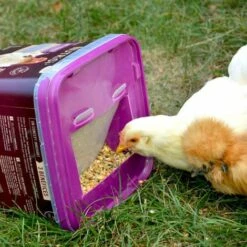 GASCO Repas Complet Spécial Ponte Pour Poules, Avec Distributeur Intégré -Poulailler et élevage de la basse-cour Soldes 2022 15622515 5