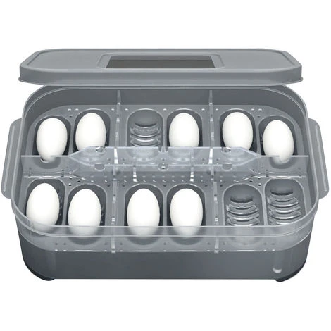 ASUPERMALL Boite D'Elevage De Reptiles 1 ASUPERMALL Boite D'Elevage De Reptiles