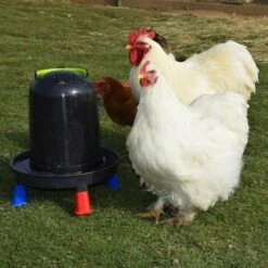 POULAILLER DIRECT Abreuvoir Volailles À Pieds En Plastique Recyclé Eco 10l -Poulailler et élevage de la basse-cour Soldes 2022 19267400 5