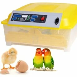 BETTER MAISON Automatique Intelligent 48 Oeufs Incubateur Poulet Canard Oeufs Hatcher 80W EU Prise - Jaune