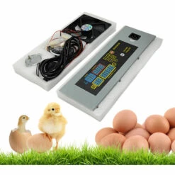 ASUPERMALL Htmc-5 Diy Mini Incubateur Controleur De Temperature Constante Oeufs Boite D'Incubation Accessoires -Poulailler et élevage de la basse-cour Soldes 2022 21352312 4