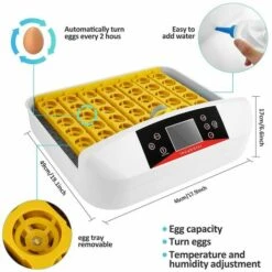 BETTER MAISON Oeufs Incubateur Numérique Automatique 32 Oeufs Pour Poulet Canards Oie Oiseau - Blanc -Poulailler et élevage de la basse-cour Soldes 2022 21675053 3