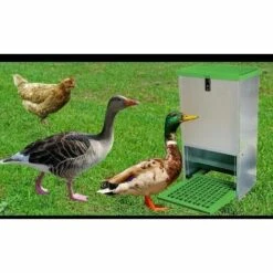 OLBA Mangeoire Anti-nuisible à Trémie, 20 Kg - Vert -Poulailler et élevage de la basse-cour Soldes 2022 23807043 5