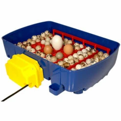 Couveuse Digitale BOROTTO 24 Oeufs Automatique -Poulailler et élevage de la basse-cour Soldes 2022 24995800 4