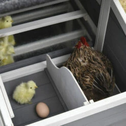 PawHut Poulailler Cottage Cage à Poules Surélevé Dim. 176L X 65l X 100H Cm Multi-équipement Toit Bitumé Noir Bois Sapin Gris Blanc - Gris -Poulailler et élevage de la basse-cour Soldes 2022 30202374 4