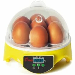 IDMARKET Couveuse Manuelle 7 Oeufs Incubateur Température Réglable