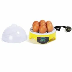 IDMARKET Couveuse Manuelle 7 Oeufs Incubateur Température Réglable -Poulailler et élevage de la basse-cour Soldes 2022 30320793 5