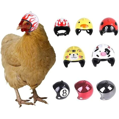 Triomphe Casque Pour Animaux De Compagnie Casque De Poulet Chapeau Pour Animaux De Compagnie Jouet Casque Casque De Poule De Poule Costumes Accessoires Pour Poulet 8 Pièces 1 Triomphe Casque Pour Animaux De Compagnie Casque De Poulet Chapeau Pour Animaux De Compagnie Jouet Casque Casque De Poule De Poule Costumes Accessoires Pour Poulet 8 Pièces