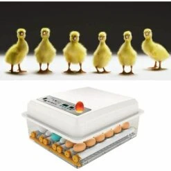 MERKMAK Incubateur Oeufs Couveuse A Oeuf Automatique Pour Volaille, Caille, Oie Canard, Pigeon, Reptile - 16 Oeufs