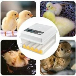 MERKMAK Incubateur Oeufs Couveuse A Oeuf Automatique Pour Volaille, Caille, Oie Canard, Pigeon, Reptile - 16 Oeufs -Poulailler et élevage de la basse-cour Soldes 2022 33768962 5