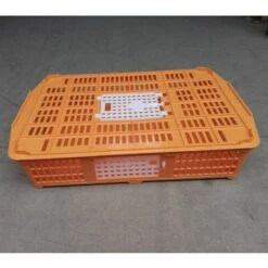 POULAILLER DIRECT Cage De Transport Petite Volaille 67x45x15cm 2 Portes Orange Et Blanche - Orange