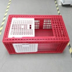 POULAILLER DIRECT Cage De Transport Grande Volaille 96x57x42cm 3 Portes Rouge Et Blanche -Poulailler et élevage de la basse-cour Soldes 2022 35604650 3