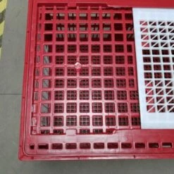 POULAILLER DIRECT Cage De Transport Grande Volaille 96x57x42cm 3 Portes Rouge Et Blanche -Poulailler et élevage de la basse-cour Soldes 2022 35604650 5