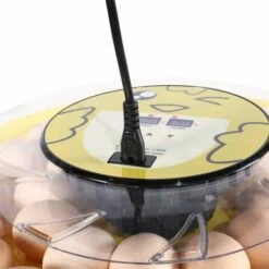 BETTER MAISON Tourneur Automatique D'oeufs D'incubateur Numérique De 30 Oeufs Pour Les Canards Et Poulet - Jaune -Poulailler et élevage de la basse-cour Soldes 2022 37104592 3