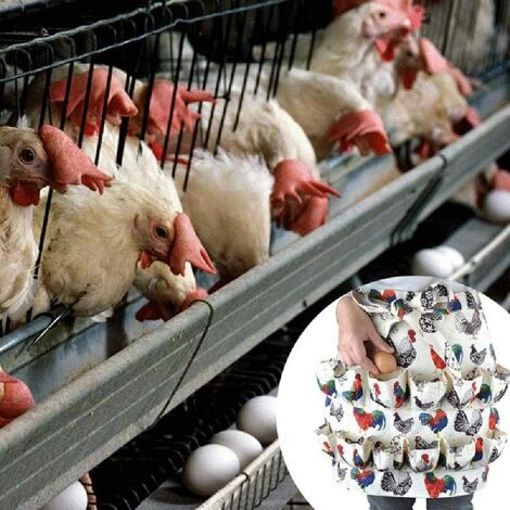 TRIOMPHE Tablier De Collecte D’œufs, 12 Poches Pour Poule Avec Imprimé Coq De Poule Et œufs En Toile, Support Pour Poules Poulailles, Accessoires Au Foyer, Agriculture, Cuisine, Maison De Travail 4 TRIOMPHE Tablier De Collecte D’œufs, 12 Poches Pour Poule Avec Imprimé Coq De Poule Et œufs En Toile, Support Pour Poules Poulailles, Accessoires Au Foyer, Agriculture, Cuisine, Maison De Travail – Image 4