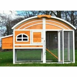 Poulailler et élevage de la basse-cour Soldes 2022 -Poulailler et élevage de la basse-cour Soldes 2022 39197259 2