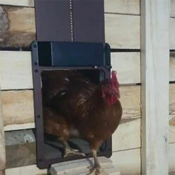 ASUPERMALL Ouvre-Porte Automatique De Poulailler à Perception Lumineuse, Ip44 étanche, Household -Poulailler et élevage de la basse-cour Soldes 2022 43713037 4