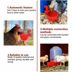 TINOR 6pcs Automatiques Supplies Abreuvoir Poules Tasses à Bol Bol En Plastique, Volailles Distributeurs D'eau Automatique De L'eau Potable Tasses Pour Poussins Cailles Canards Bird -Poulailler et élevage de la basse-cour Soldes 2022 46790909 3