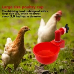 TINOR 6pcs Automatiques Supplies Abreuvoir Poules Tasses à Bol Bol En Plastique, Volailles Distributeurs D'eau Automatique De L'eau Potable Tasses Pour Poussins Cailles Canards Bird -Poulailler et élevage de la basse-cour Soldes 2022 46790909 4