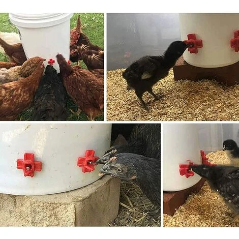Buveurs D'Eau De Poulet En Plastique Et Acier Inoxydable 304 Abreuvoir Automatique Pour Tétine De Poulet En Rouge 32,5 X 34mm Distributeur Abreuvoir Équipement Pour Poulet Oie OiseauTriomphe 10 Pièces 4 Buveurs D'Eau De Poulet En Plastique Et Acier Inoxydable 304 Abreuvoir Automatique Pour Tétine De Poulet En Rouge 32,5 X 34mm Distributeur Abreuvoir Équipement Pour Poulet Oie OiseauTriomphe 10 Pièces – Image 4