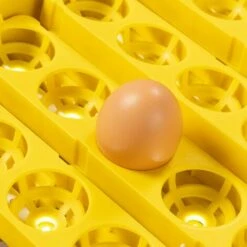 IDMARKET Couveuse PRO Automatique 56 Oeufs éclairés Incubateur Autonome Avec LED Mire Oeufs -Poulailler et élevage de la basse-cour Soldes 2022 50943099 5