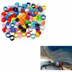 MACARON Couleurs Mélangées Bague Pour Pied D’oiseaux Bague Plastique Pour Pigeon Poussin Bantam Petit Volaille 100 Pcs LO-Ron -Poulailler et élevage de la basse-cour Soldes 2022 57779706 4