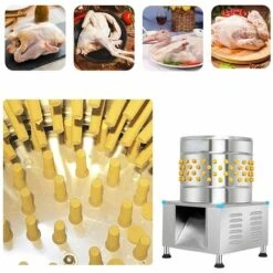 MACARON Caoutchouc Volaille Plumer Les Doigts Bâton D'enlèvement De Plumes De Cheveux De Remplacement Pour Poulet / Canards / Poulet / Pigeon LO-Ron -Poulailler et élevage de la basse-cour Soldes 2022 57779724 5