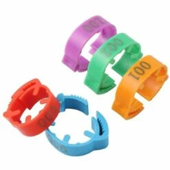 Poulailler et élevage de la basse-cour Soldes 2022 -Poulailler et élevage de la basse-cour Soldes 2022 58783725 2