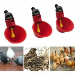 DENUOTOP Abreuvoirs Abreuvoir à Poule Automatique Tasses D'eau Potable Rouge Abreuvoir Poules Bien Pratique En Plastique Pour Oiseaux Poule Volaille - 5PCS -Poulailler et élevage de la basse-cour Soldes 2022 60007711 5