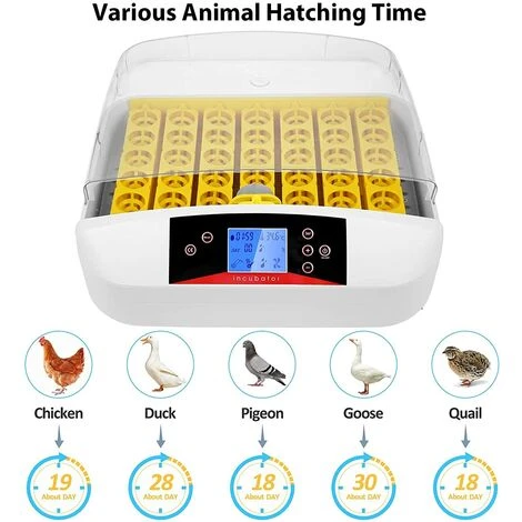 BAMNY Incubateur Entièrement Automatique 55 œufs Couveuse Numérique Avec Rotation Automatique Des œufs Et Contrôle De La Température Et De L'humidité Pour Poules, Canards, Cailles, Oies, œufs à Poulet 2 BAMNY Incubateur Entièrement Automatique 55 œufs Couveuse Numérique Avec Rotation Automatique Des œufs Et Contrôle De La Température Et De L'humidité Pour Poules, Canards, Cailles, Oies, œufs à Poulet – Image 2