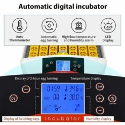 BAMNY Incubateur Entièrement Automatique 55 œufs Couveuse Numérique Avec Rotation Automatique Des œufs Et Contrôle De La Température Et De L'humidité Pour Poules, Canards, Cailles, Oies, œufs à Poulet 7 BAMNY Incubateur Entièrement Automatique 55 œufs Couveuse Numérique Avec Rotation Automatique Des œufs Et Contrôle De La Température Et De L'humidité Pour Poules, Canards, Cailles, Oies, œufs à Poulet -Poulailler et élevage de la basse-cour Soldes 2022 60359866 3