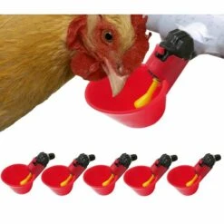 DENUOTOP Volaille Automatique Abreuvoir,6 PCS Buveur De Volaille,Poulet Abreuvoir D'eau,Buveurs Automatiques Abreuvoirs En Plastique Rouge Backyards Canard Oiseau Caille Pigeon Poule Alimentation D'eau Bol