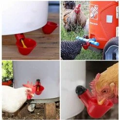DENUOTOP Volaille Automatique Abreuvoir,6 PCS Buveur De Volaille,Poulet Abreuvoir D'eau,Buveurs Automatiques Abreuvoirs En Plastique Rouge Backyards Canard Oiseau Caille Pigeon Poule Alimentation D'eau Bol -Poulailler et élevage de la basse-cour Soldes 2022 60483620 3