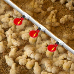 LIFCAUSAL Abreuvoir Automatique De Machine De Tasse D'eau De Poulet En Plastique De Tasses à Boire D'eau De Volaille Pour La Caille De Poule -Poulailler et élevage de la basse-cour Soldes 2022 61022951 4