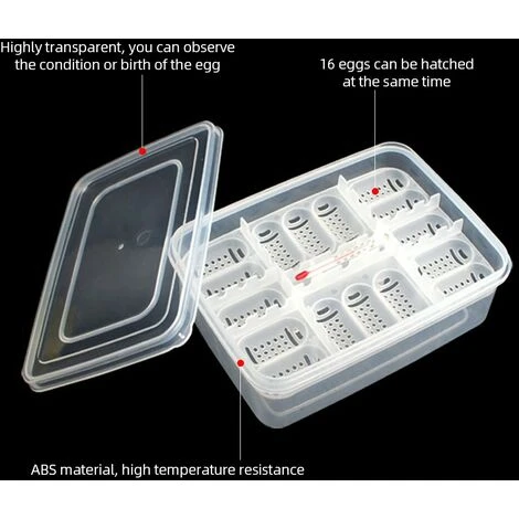 LIFCAUSAL Plateau à Oeufs De Reptiles Boîte à Oeufs De Reptile Boîte D'élevage De Reptiles Boîte D'incubation De Reptiles Convient à L'éclosion De Lézards De Serpents Reptiles Avec Thermomètre 4 LIFCAUSAL Plateau à Oeufs De Reptiles Boîte à Oeufs De Reptile Boîte D'élevage De Reptiles Boîte D'incubation De Reptiles Convient à L'éclosion De Lézards De Serpents Reptiles Avec Thermomètre – Image 4