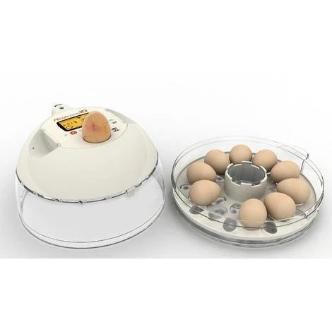 R-COM Couveuse RCOM 10 PRO PLUS 3 R-COM Couveuse RCOM 10 PRO PLUS – Image 3