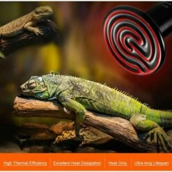 CARILLONSàVENT 100W Émetteur Radiateur Animaux Ampoule Infrarouge Chauffage En Céramique,Lampe De Reptile Pour Amphibiens, Serpent, Oiseaux,Tortue, Chat, Chien Carivent -Poulailler et élevage de la basse-cour Soldes 2022 64138912 4