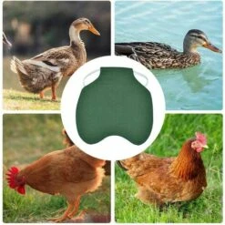 CARILLONSàVENT Tablier De Poulet À Sangle Unique/Gilet De Selle Protection De L'aile De Canard De Poule Vestes De Poulet Standard Tabliers De Poule Accessoires De Soins De Volaille 5pcs-vert Carivent -Poulailler et élevage de la basse-cour Soldes 2022 64139286 3