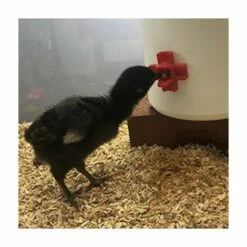 MONLY Tétine à Eau De Volaille, Abreuvoir Automatique Pour Tétine De Poulet Avec Montage Latéral Horizontal, Lot De 12 -Poulailler et élevage de la basse-cour Soldes 2022 64457886 5