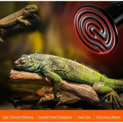 DENUOTOP E27 75W Émetteur Radiateur Animaux Ampoule Infrarouge Chauffage En Céramique,Lampe De Reptile Pour Amphibiens, Serpent, Oiseaux,Tortue, Chat, Chien -Poulailler et élevage de la basse-cour Soldes 2022 64884467 5