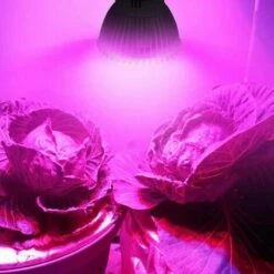 L'FLANEUR 18LEDs Lampe De Plante Intérieur Ampoule De Croissance Pour Végétation Hydroponique Ou En Serre 8W E27 ANEUR -Poulailler et élevage de la basse-cour Soldes 2022 65353908 5