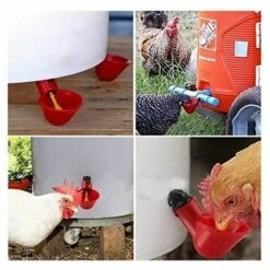 L'FLANEUR 15 Bols D'eau De Poulet Avec Noix, Abreuvoir De Volaille En Plastique équipement D'élevage Pour Buveur De Caille D'oiseau De Poulet ANEUR 6 L'FLANEUR 15 Bols D'eau De Poulet Avec Noix, Abreuvoir De Volaille En Plastique équipement D'élevage Pour Buveur De Caille D'oiseau De Poulet ANEUR -Poulailler et élevage de la basse-cour Soldes 2022 65355010 3