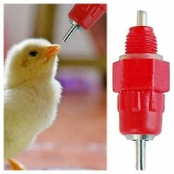 BENOBBY KIDS Poulet Canard Volaille Buveur Eau Mamelon Automatique Fontaine à Boire Bout à Bout Boule Alimentation Automatique 20 Pièces -Poulailler et élevage de la basse-cour Soldes 2022 66718082 5